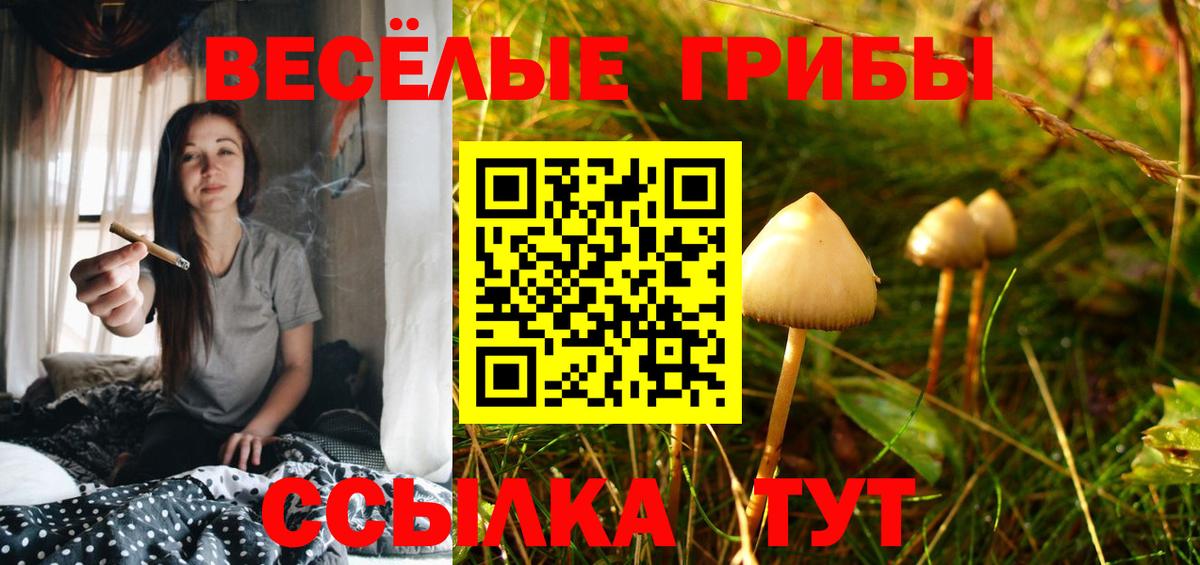 Елизово  Галлюциногенные грибы GOLDEN TEACHER  Вход с VPN  Галлюциногенные грибы Psilocybine cubensis 